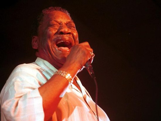 2013����ʧ�Ұ����̵��ϰ���Ǳ������������