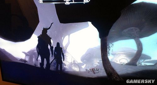 �����ǿ�