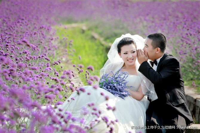 薰衣草花海最浪漫的那刻