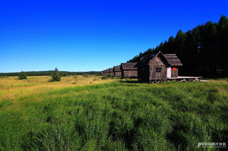 ������ͯ������������