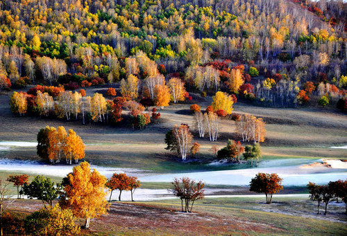 �������ϲ�ԭ��ɫ